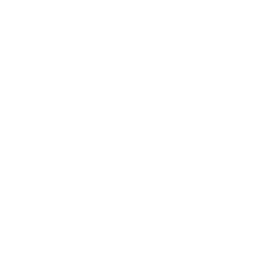 logo display
