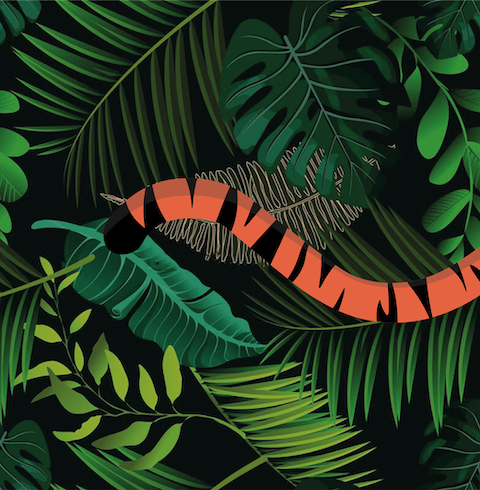 Tail